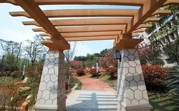 湖南单招教育培训学校靠谱吗