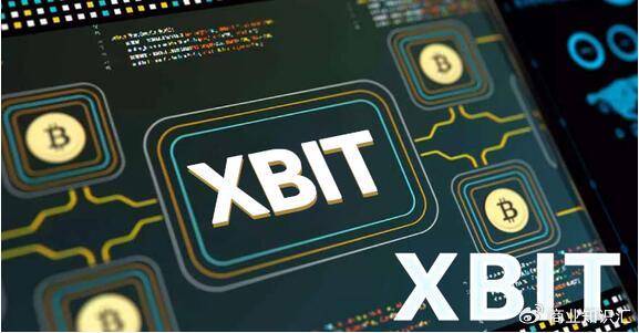 独特价值定位XBIT分析文化支持Meme币交易平台结构体系