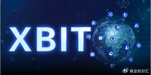 独特价值定位XBIT分析文化支持Meme币交易平台结构体系