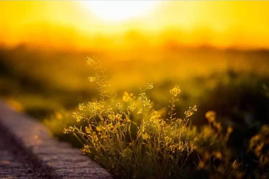 燃气保障平台实现隐患提前预警