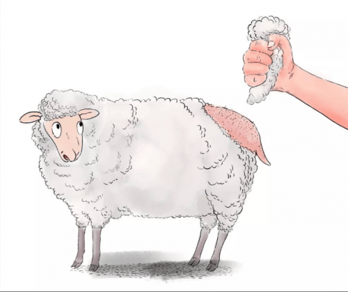 "羊毛党"恶意批量倒卖,平台利益如何保障