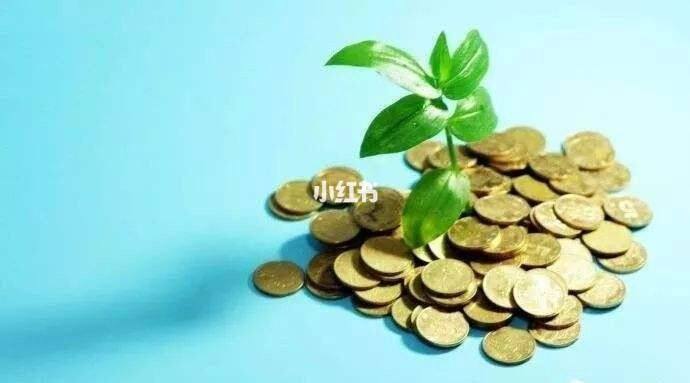 刚毕业如何理财(刚毕业如何理财好)