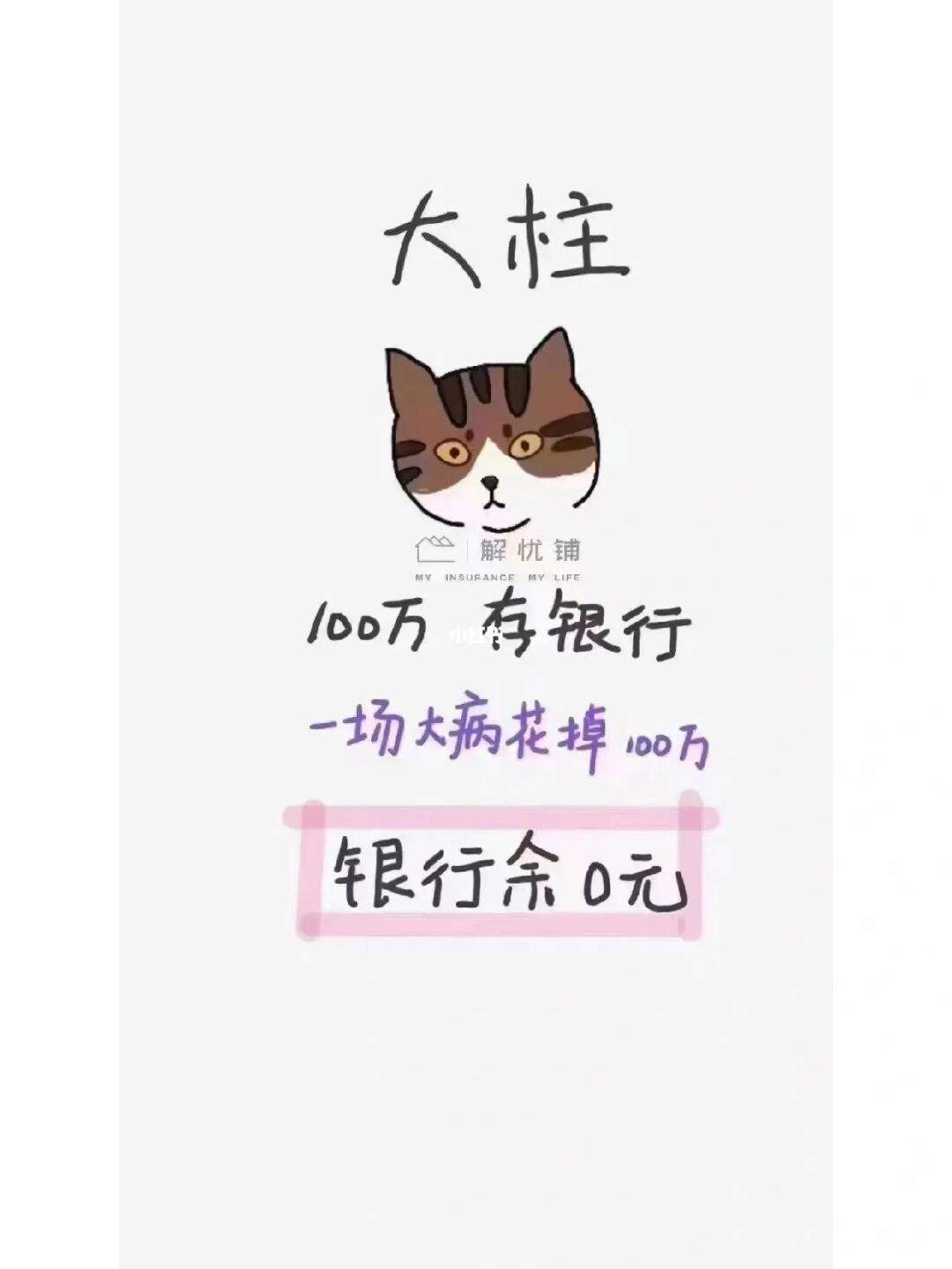 理财猫怎么样(理财猫怎么样能赚钱吗)