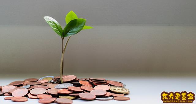 理财货币基金(理财货币基金申购为什么会扣款)