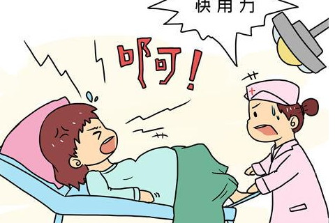 梦见理财(梦见蛇是什么预兆)