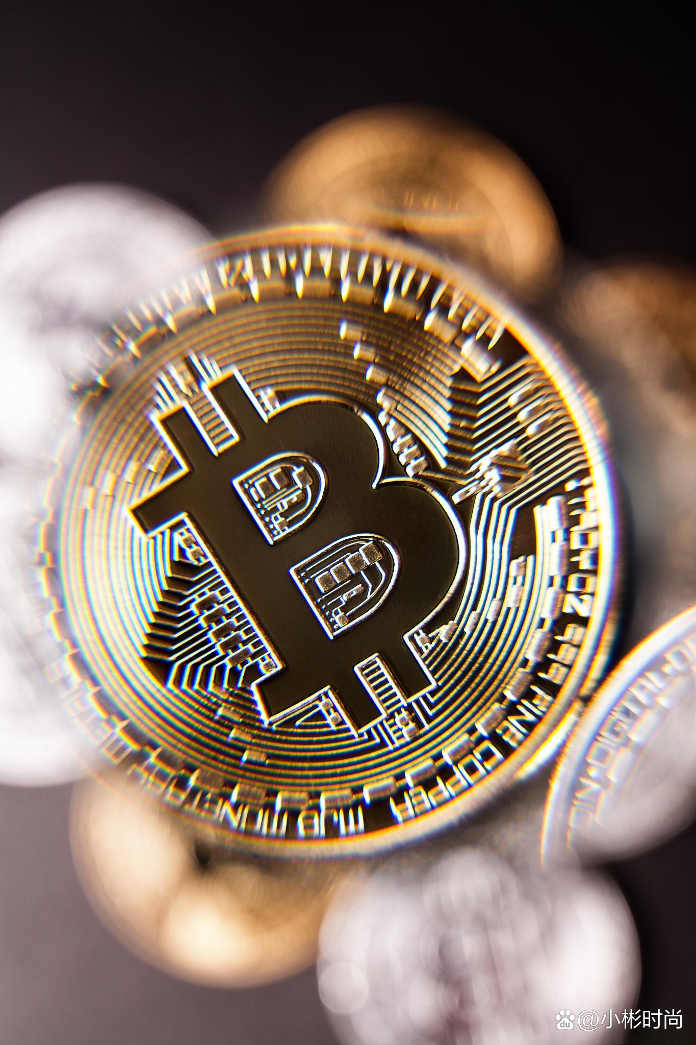 比特现金交易所投资(比特现金交易所官方网站)