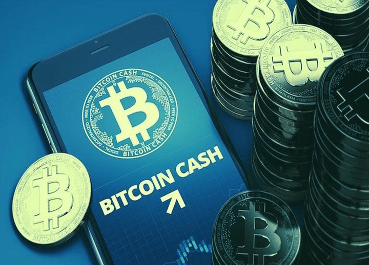 比特现金交易所投资(比特现金的创始人是谁)