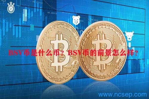 BSV交易官网(bsv币会不会是骗局)
