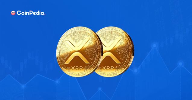 XRP交易所投资(xrp capital)