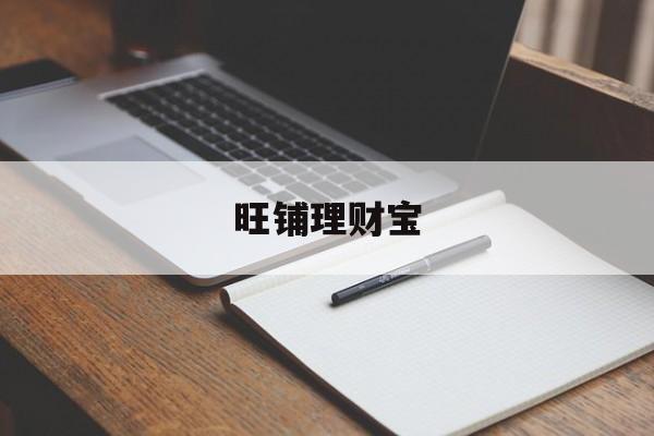 旺铺理财宝(旺财说的十本理财书)